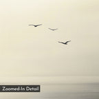 Above the Calm Canvas Art