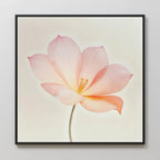 Whispers in Blush – blush pink botanical canvas wall art print by Aspire Prints