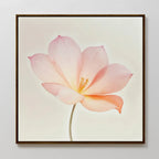 Whispers in Blush – blush pink botanical canvas wall art print by Aspire Prints