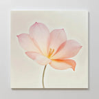Whispers in Blush – blush pink botanical canvas wall art print by Aspire Prints
