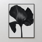 Midnight Petal Hush – black botanical canvas wall art print by Aspire Prints