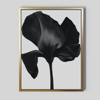 Midnight Petal Hush – black botanical canvas wall art print by Aspire Prints
