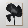 Midnight Petal Hush – black botanical canvas wall art print by Aspire Prints