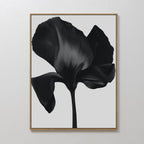 Midnight Petal Hush – black botanical canvas wall art print by Aspire Prints