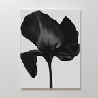 Midnight Petal Hush – black botanical canvas wall art print by Aspire Prints