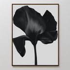 Midnight Petal Hush – black botanical canvas wall art print by Aspire Prints