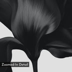 Midnight Petal Hush – black botanical canvas wall art print by Aspire Prints