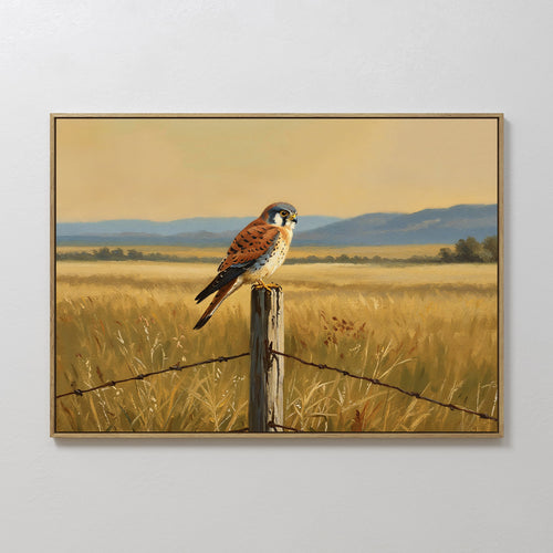 Kestrel's Quiet Vigil – neutral-toned vintage canvas wall art print by Aspire Prints