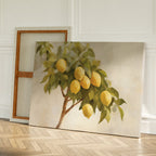 Sunlit Citrus Whisper – green vintage canvas wall art print by Aspire Prints