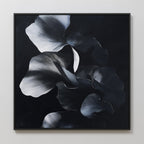 Midnight Petals in Shadow – black and white botanical canvas wall art print by Aspire Prints