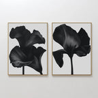 Midnight Petals in Bloom – Set of 2 Canvas Prints set of 2 – black botanical canvas wall art by Aspire Prints