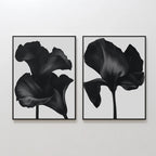 Midnight Petals in Bloom – Set of 2 Canvas Prints set of 2 – black botanical canvas wall art by Aspire Prints
