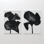 Midnight Petals in Bloom – Set of 2 Canvas Prints set of 2 – black botanical canvas wall art by Aspire Prints