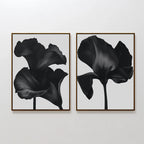 Midnight Petals in Bloom – Set of 2 Canvas Prints set of 2 – black botanical canvas wall art by Aspire Prints