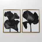 Midnight Petals in Bloom – Set of 2 Canvas Prints set of 2 – black botanical canvas wall art by Aspire Prints