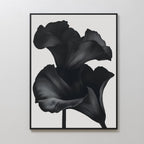 Midnight Petal Whisper – black botanical canvas wall art print by Aspire Prints
