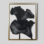 Midnight Petal Whisper – black botanical canvas wall art print by Aspire Prints