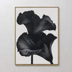 Midnight Petal Whisper – black botanical canvas wall art print by Aspire Prints