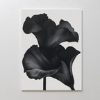 Midnight Petal Whisper – black botanical canvas wall art print by Aspire Prints