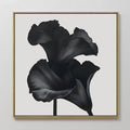 Midnight Petal Whisper – black and white botanical canvas wall art print by Aspire Prints
