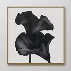 Midnight Petal Whisper – black and white botanical canvas wall art print by Aspire Prints