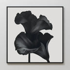 Midnight Petal Whisper – black and white botanical canvas wall art print by Aspire Prints