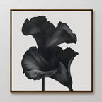 Midnight Petal Whisper – black and white botanical canvas wall art print by Aspire Prints