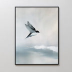Whisper of Wings Over Misty Shores Canvas Print – neutral-toned wildlife canvas wall art print by Aspire Prints
