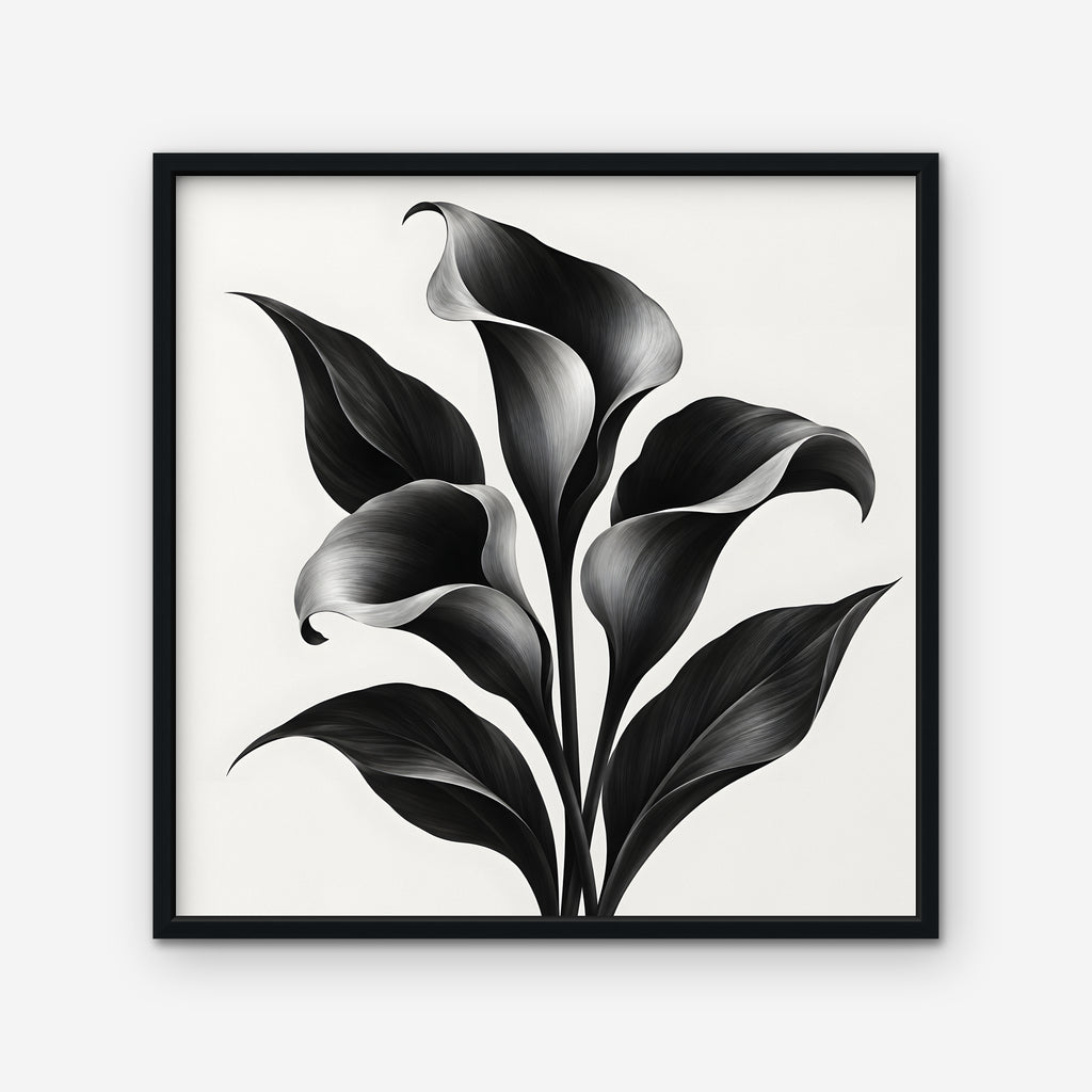 Black Calla Lilies Canvas Art - Square – Black Floating Frame on white background