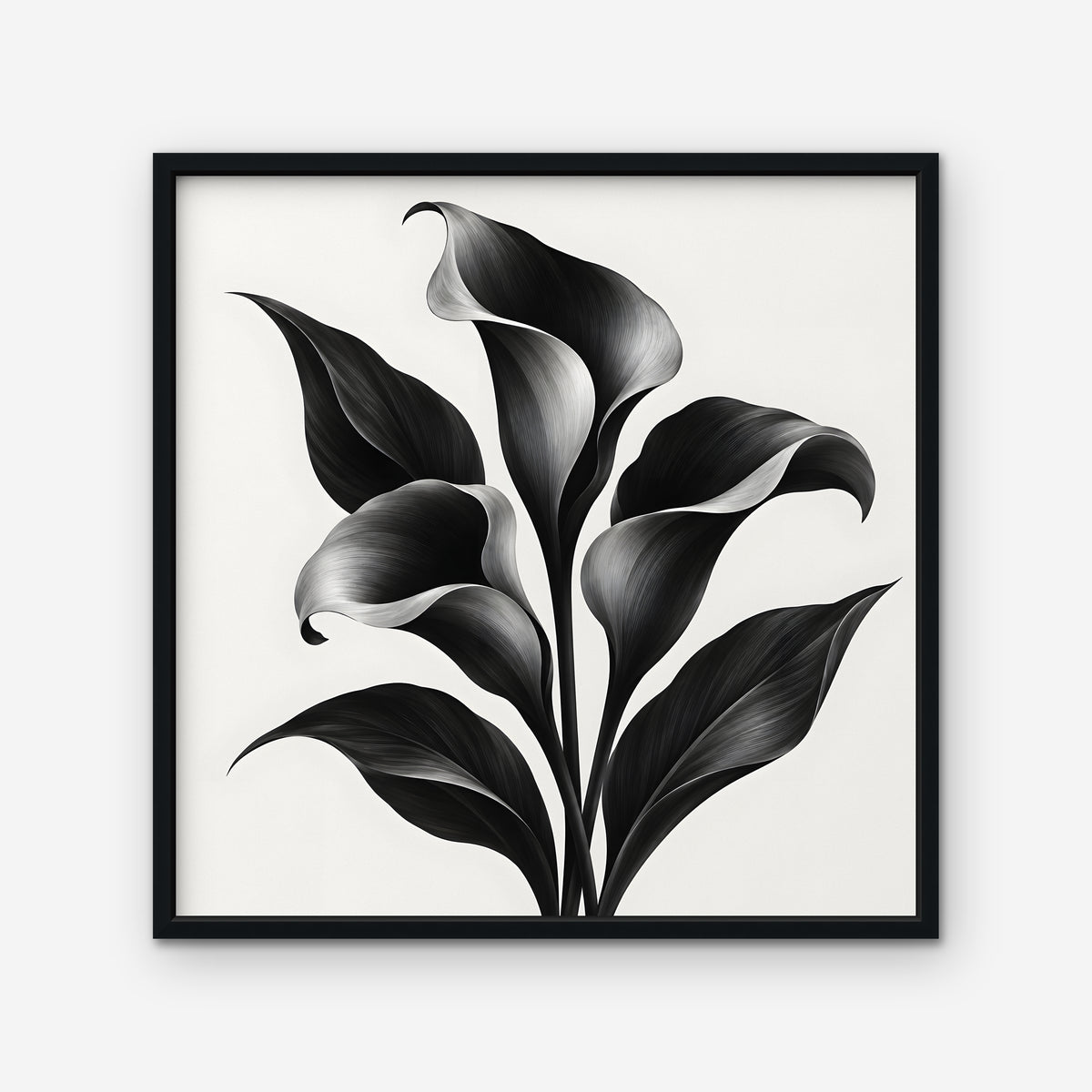 Black Calla Lilies Canvas Art - Square – Black Floating Frame on white background