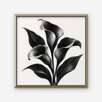 Black Calla Lilies Canvas Art - Square – Gold Floating Frame on white background