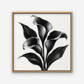 Black Calla Lilies Canvas Art - Square – Oak Floating Frame on white background