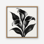 Black Calla Lilies Canvas Art - Square – Oak Floating Frame on white background