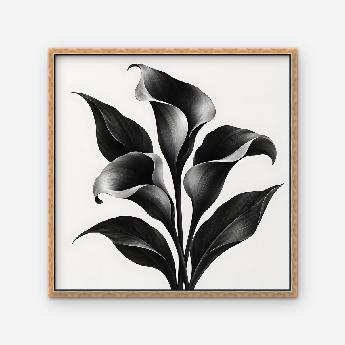 Black Calla Lilies Canvas Art - Square – Oak Floating Frame on white background
