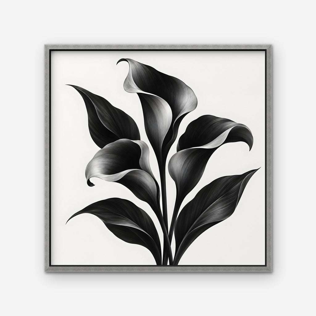 Black Calla Lilies Canvas Art - Square – Silver Floating Frame on white background