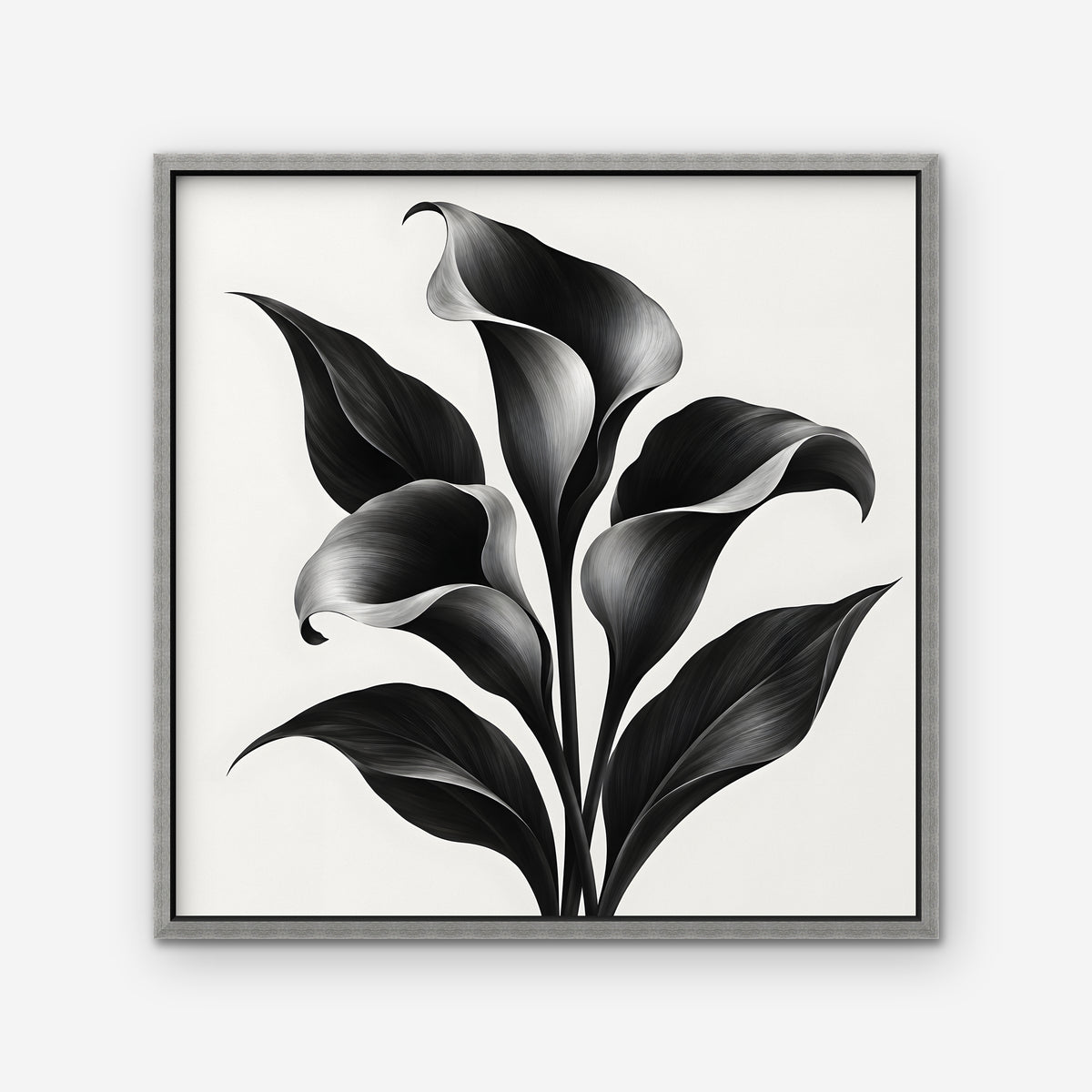 Black Calla Lilies Canvas Art - Square – Silver Floating Frame on white background