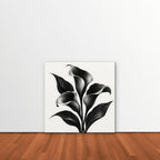 Black Calla Lilies Canvas Art - Square – Stretched Canvas Only in room setting