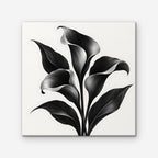 Black Calla Lilies Canvas Art - Square – Stretched Canvas Only on white background