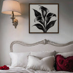 Black Calla Lilies Canvas Art - Square – Walnut Floating Frame in room setting