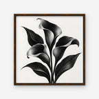 Black Calla Lilies Canvas Art - Square – Walnut Floating Frame on white background