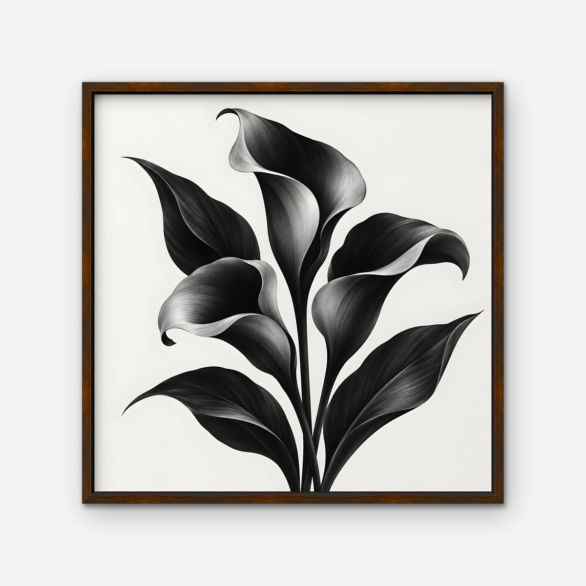 Black Calla Lilies Canvas Art - Square – Walnut Floating Frame on white background