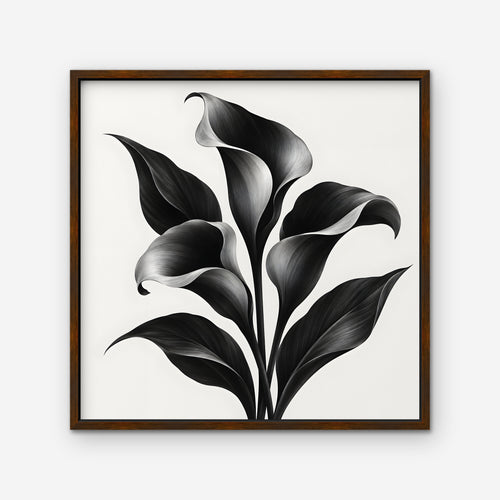 Black Calla Lilies Canvas Art - Square – Walnut Floating Frame on white background