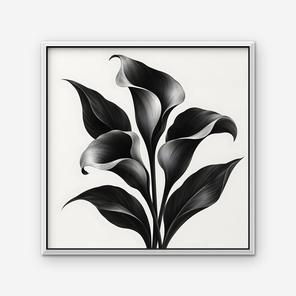 Black Calla Lilies Canvas Art - Square – White Floating Frame on white background