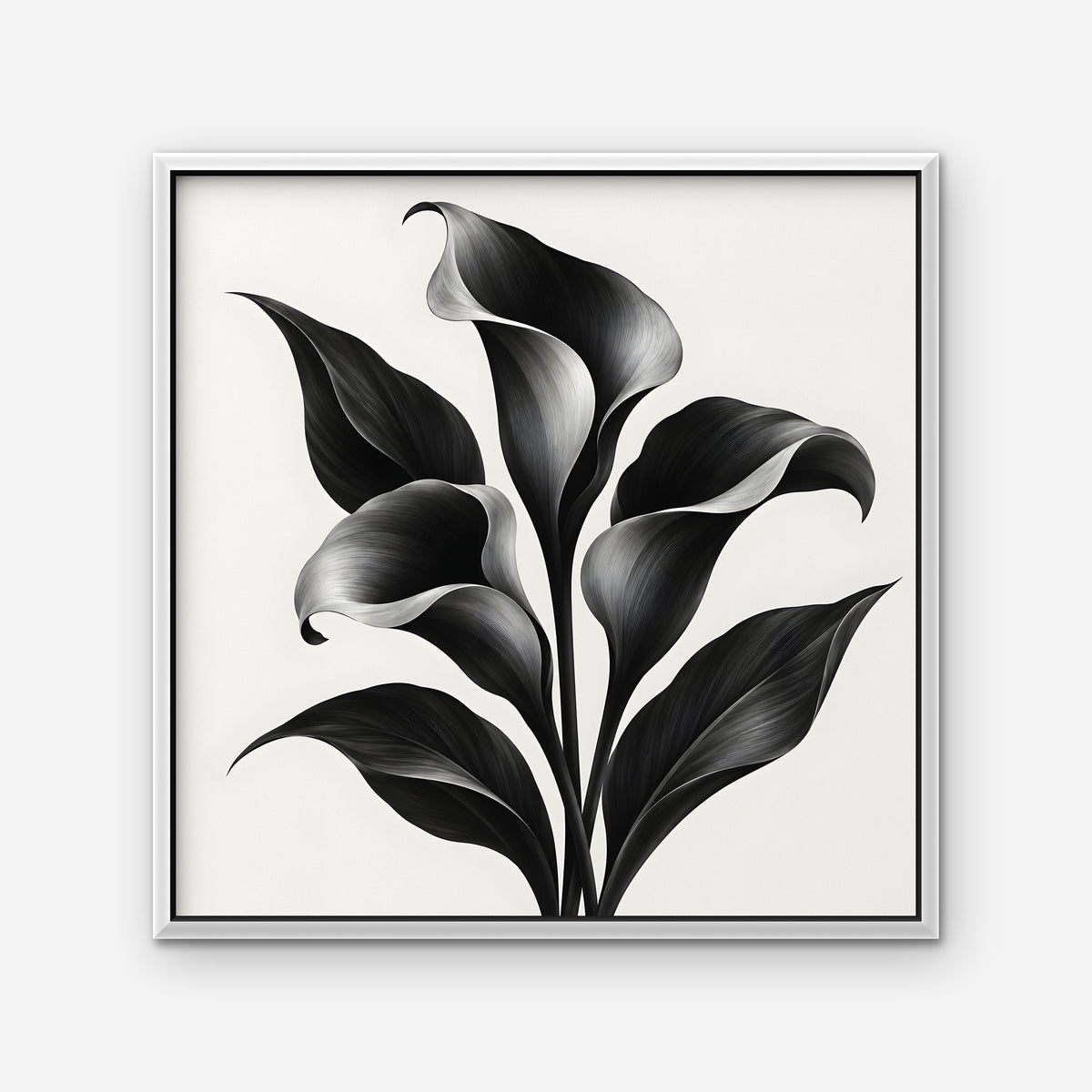 Black Calla Lilies Canvas Art - Square – White Floating Frame on white background