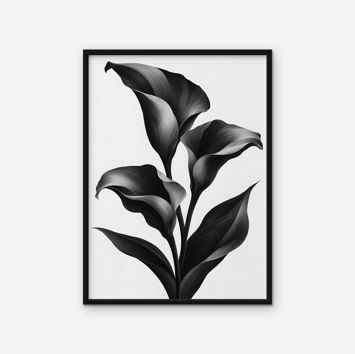 Black Calla Lilies Canvas Art - Vertical – Black Floating Frame on white background