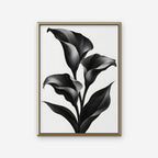 Black Calla Lilies Canvas Art - Vertical – Gold Floating Frame on white background