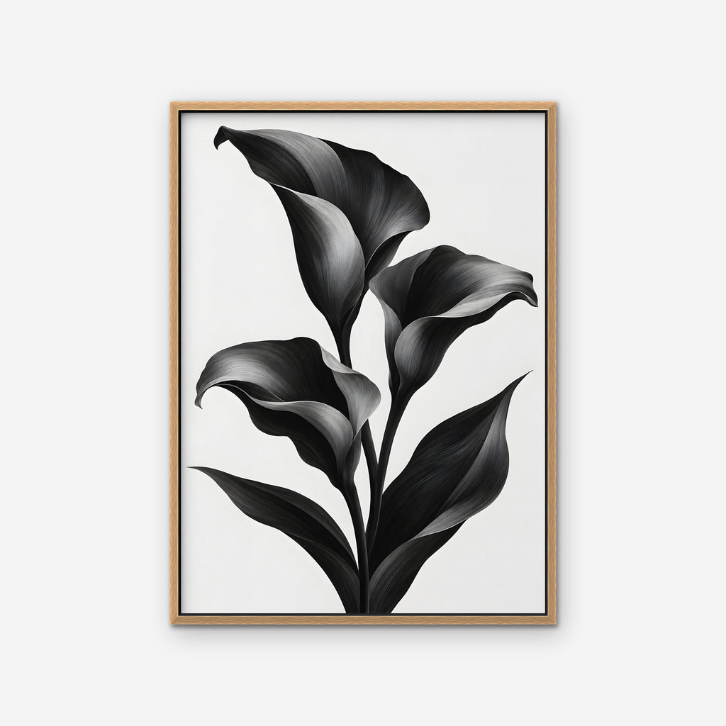 Black Calla Lilies Canvas Art - Vertical – Oak Floating Frame on white background