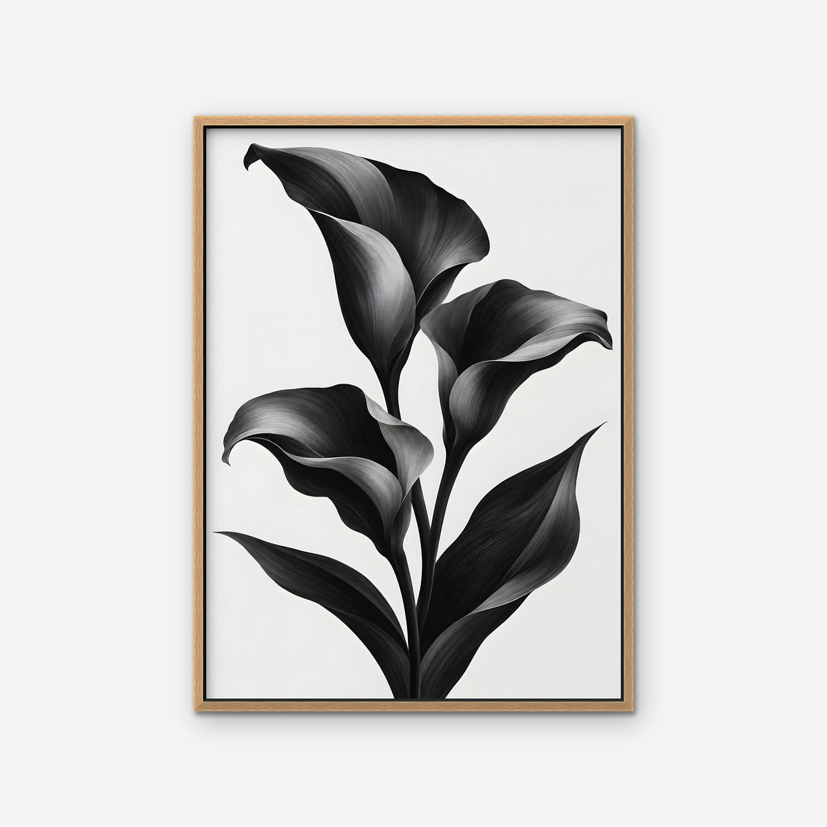 Black Calla Lilies Canvas Art - Vertical – Oak Floating Frame on white background