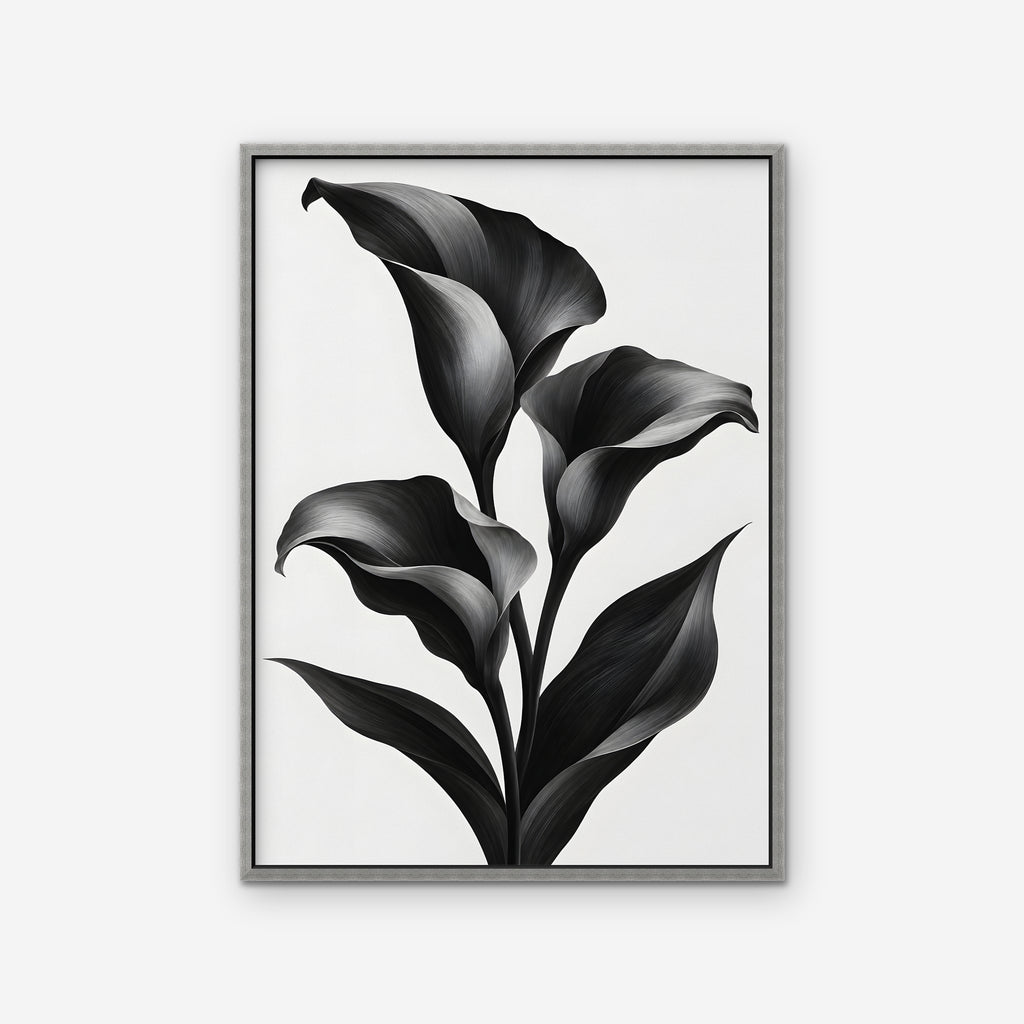 Black Calla Lilies Canvas Art - Vertical – Silver Floating Frame on white background