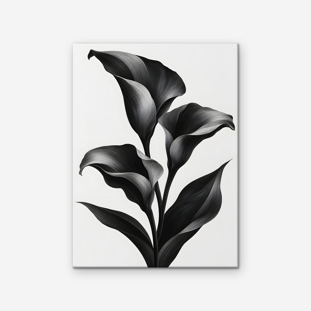 Black Calla Lilies Canvas Art - Vertical – Stretched Canvas Only on white background